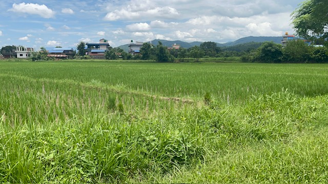 Land at Badahara, Chitwan